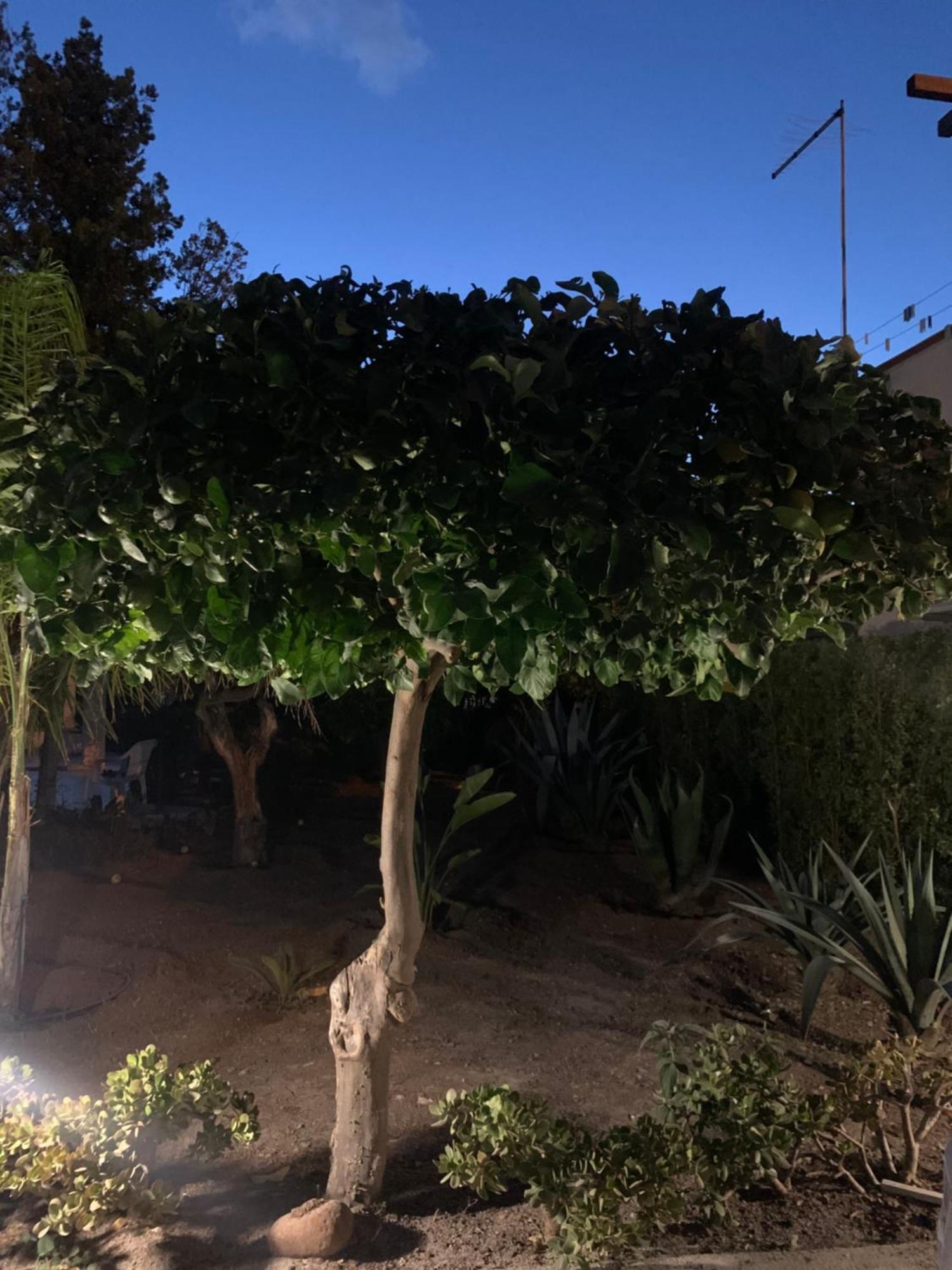 Casa Vacanze Astori Trabia Exteriör bild