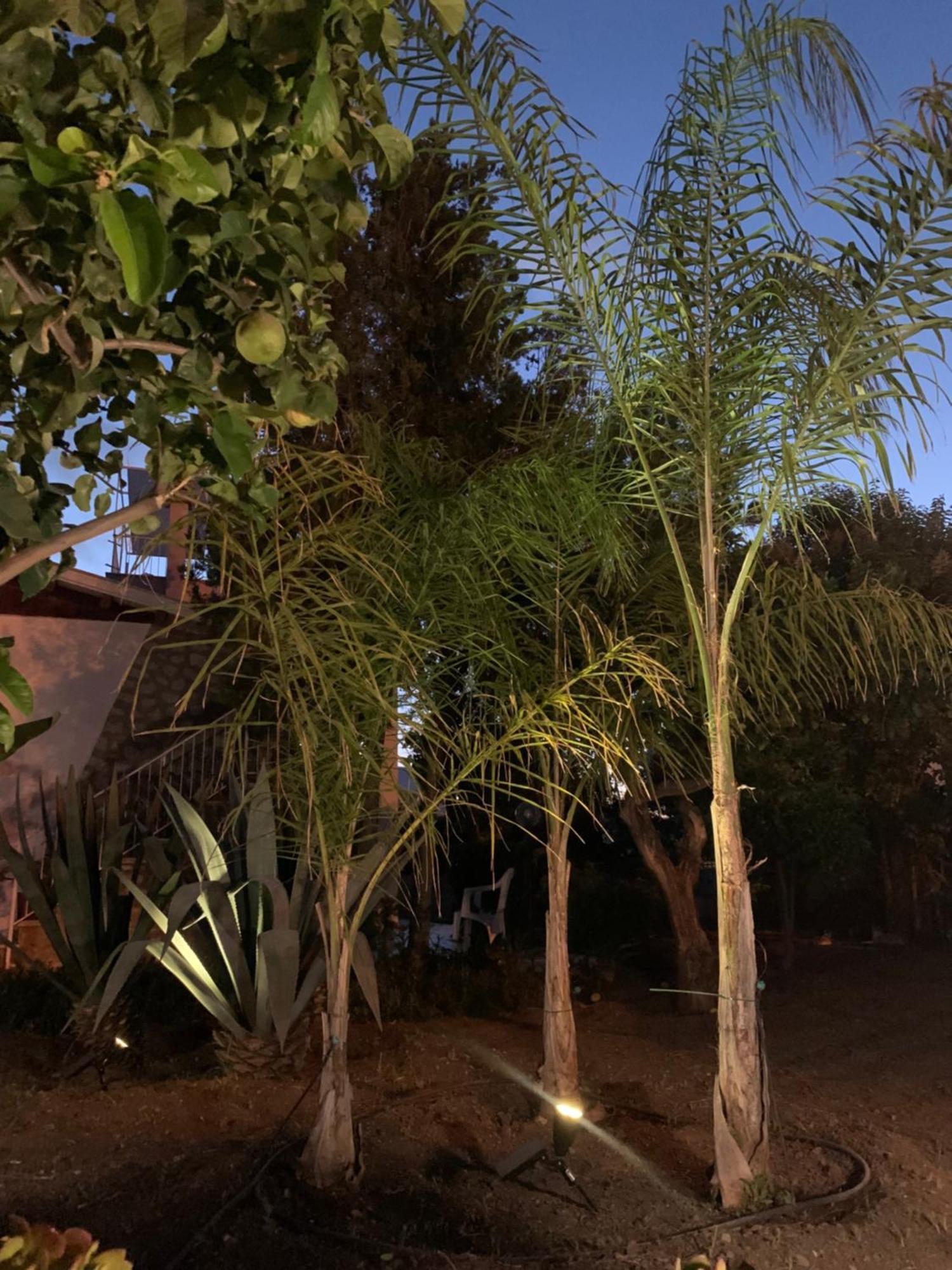 Casa Vacanze Astori Trabia Exteriör bild